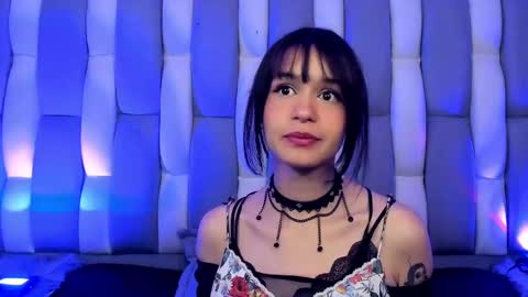 Cat  online show from December 2024 12:40:02 PM