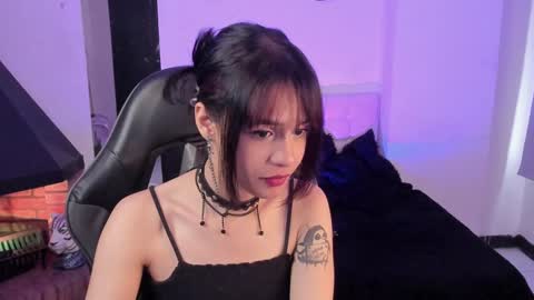 Cat  online show from December 2024 04:30:01 PM