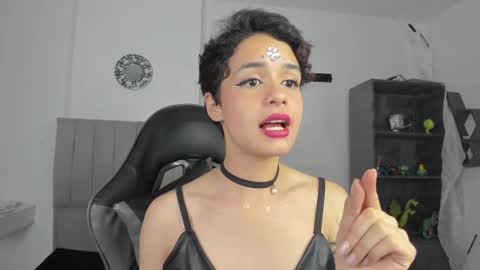 Cat  online show from February 2025 12:26:01 AM