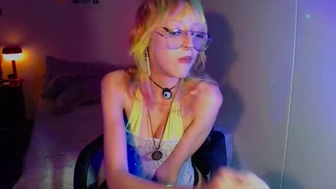 Cat online show from September 2025 05:07:01 AM