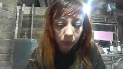 Catta online show from September 2025 06:57:01 AM