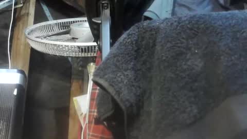 caughtnaked online show from April 2026 02:25:02 PM