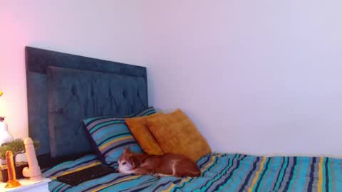 Cedrixx10 online show from December 2025 09:55:01 PM