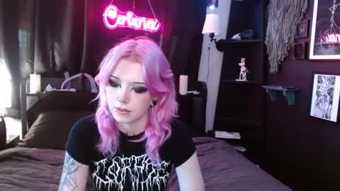 Averi online show from March 2025 07:50:02 PM