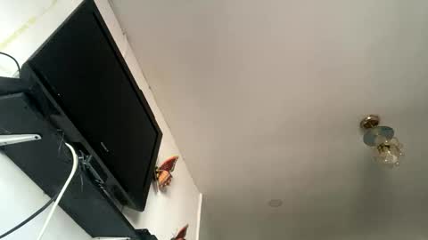 chanelfancy online show from April 2026 01:09:02 PM