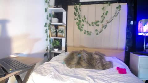 channel_hs online show from September 2025 02:31:02 PM