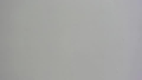 Channel online show from November 2025 06:15:02 AM