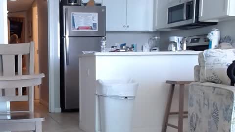 Snapshot of charleyandsmokie chatting on October 2025 05:58:02 PM charleyandsmokie online show from October 2025 05:58:02 PM