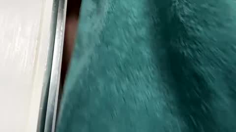 Gary online show from November 2025 08:50:02 AM