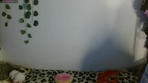 Snapshot of charlotbelucci_ chatting on May 2026 02:53:02 AM Ale punky online show from May 2026 02:53:02 AM