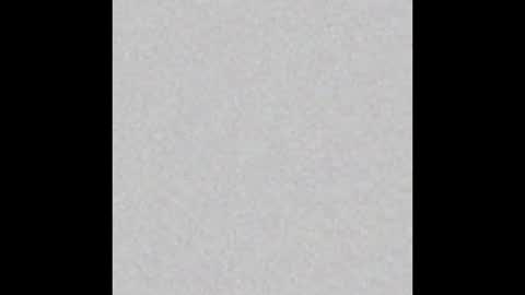 Charlotte online show from December 2024 03:31:02 PM