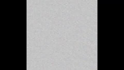 Charlotte online show from January 2025 03:23:01 PM