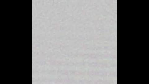 Charlotte online show from January 2025 01:54:01 PM