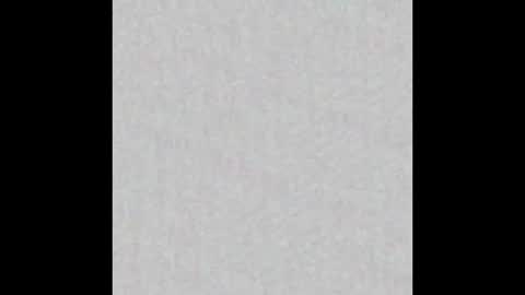 Charlotte online show from February 2026 04:49:02 PM