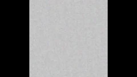 Charlotte online show from October 2025 11:41:02 AM