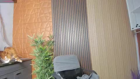 Snapshot of charlotte_whitee1 chatting on February 2025 11:02:02 AM Charlotte Everyday From 0700 to 1300 Col Time online show from February 2025 11:02:02 AM