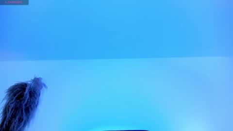 Snapshot of charlotte_whitee1 chatting on October 2025 11:53:02 AM Charlotte Everyday From 0700 to 1300 Col Time online show from October 2025 11:53:02 AM