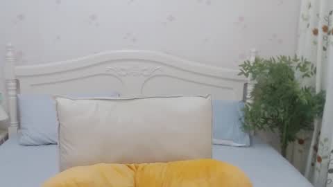 Charlotte online show from September 2025 02:11:02 PM