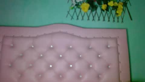 Snapshot of cherry_provocation chatting on January 2025 02:08:02 PM cherry online show from January 2025 02:08:02 PM