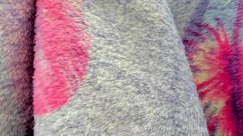 Mia online show from October 2025 09:40:02 AM