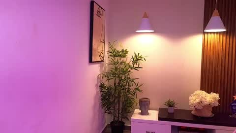 Sery online show from June 2026 06:20:02 PM