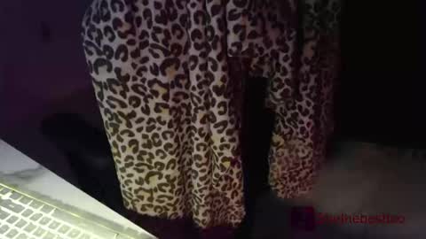 Omega online show from March 2026 02:53:02 PM