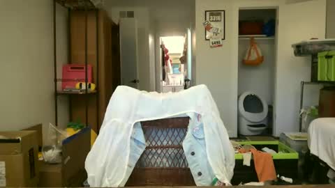 cherryrhett online show from June 2026 12:06:02 AM