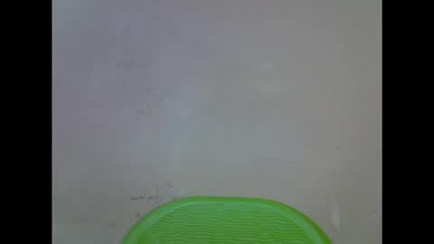 cherryxpussy online show from October 2025 12:02:02 PM