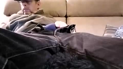 chevy69 online show from November 2025 01:26:02 AM