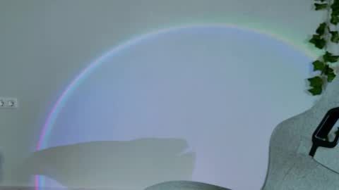 Bella online show from February 2026 09:05:01 AM