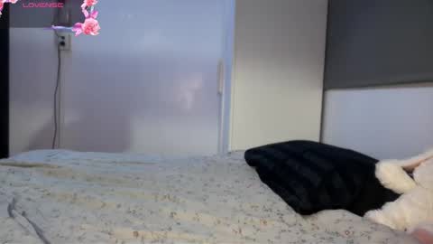 Call me Stelz online show from February 2026 08:27:02 PM