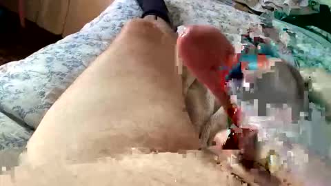 chrishornycocker online show from November 2025 03:05:02 PM