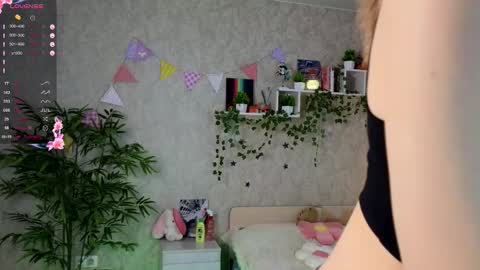 Ann online show from February 2026 11:36:02 AM