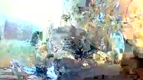 christopher1087 online show from February 2026 01:15:02 AM