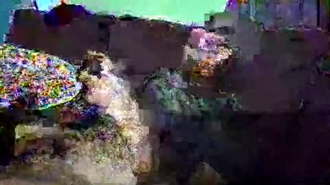 christopher1087 online show from March 2026 07:58:01 AM