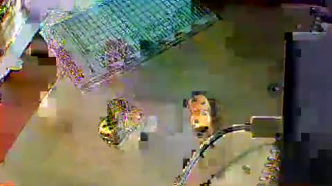 Snapshot of chubbyboy1986 chatting on October 2025 10:01:01 PM chubbyboy1986 online show from October 2025 10:01:01 PM