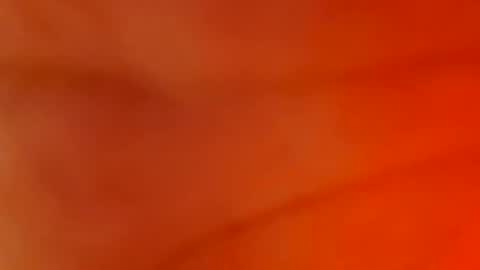 ChubbyHubby420 online show from March 2026 02:50:02 AM