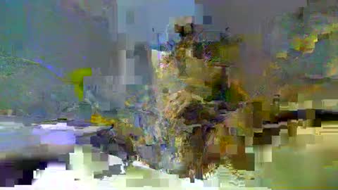 Snapshot of chuck354139 chatting on February 2025 03:14:01 PM chuck354139 online show from February 2025 03:14:01 PM