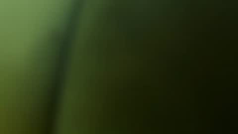 chuckyschick69 online show from December 2025 04:53:02 AM