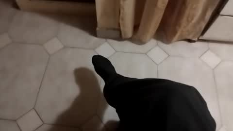 ciccilli online show from October 2025 09:39:01 PM