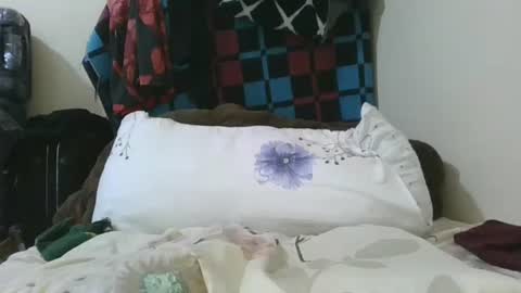 cilia petite online show from July 2026 01:48:01 PM
