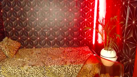 Cindy online show from December 2024 10:13:01 PM