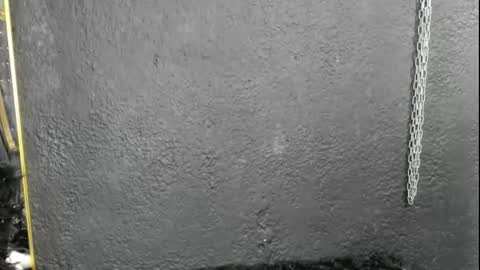 cintyarose online show from February 2026 01:21:02 PM