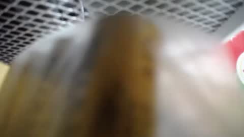 487699 online show from November 2025 03:08:02 AM