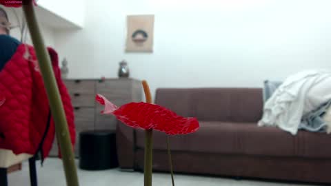 Snapshot of classy_medeeea chatting on December 2024 09:44:01 AM Deea xxx online show from December 2024 09:44:01 AM