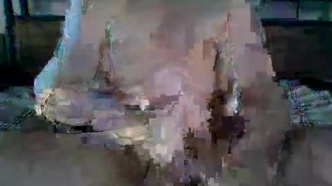 Ethan Slade online show from April 2026 11:18:02 PM