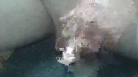 cocktoys online show from February 2026 05:50:02 AM