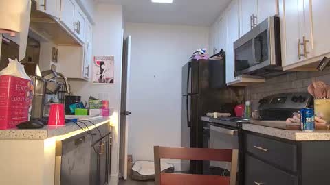 Cokia online show from March 2026 03:41:02 AM