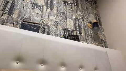 colambus83 online show from April 2026 08:22:01 PM