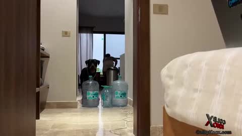 colbyknox online show from September 2025 11:06:02 PM